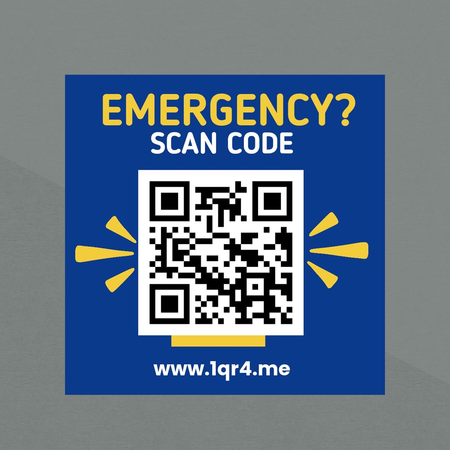 Vehicle Sticker – Single Unit